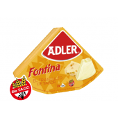 Queso Fontina Adler 100gr