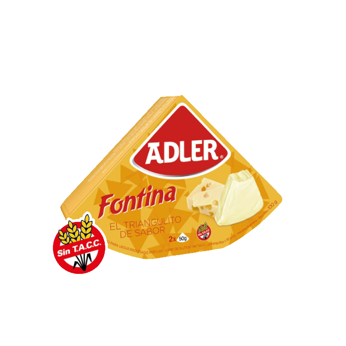 Queso Fontina Adler 100gr